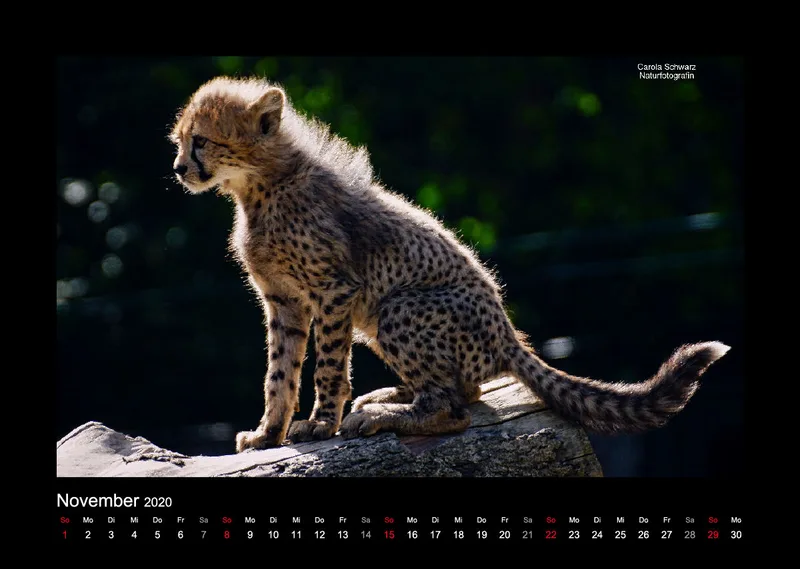 A3 Fotokalender / Nr. 1