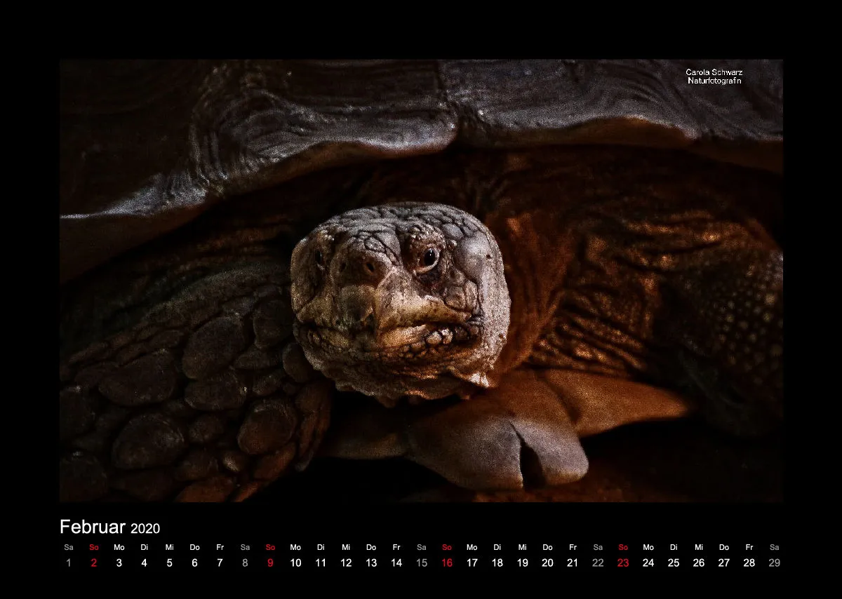 A3 Fotokalender / Nr. 1