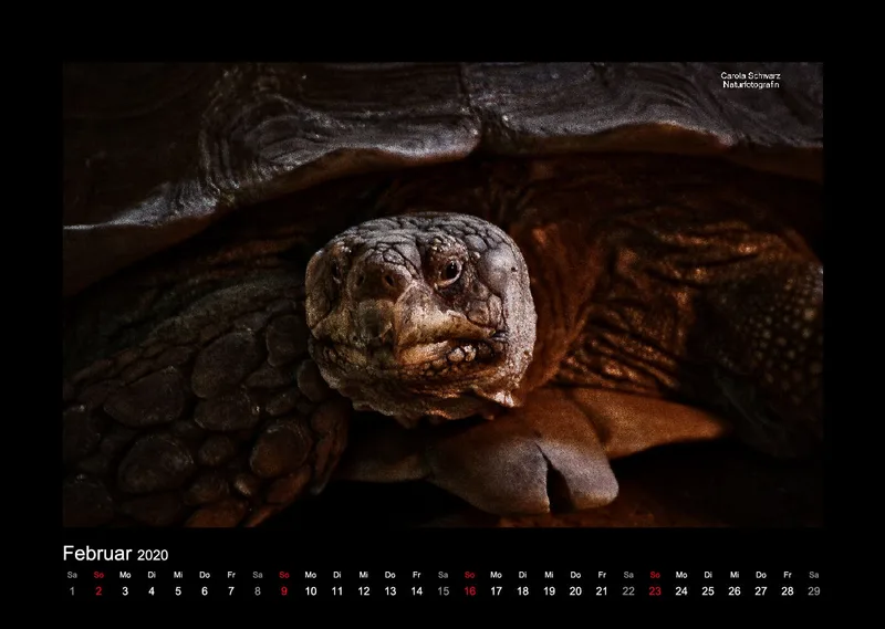 A3 Fotokalender / Nr. 1