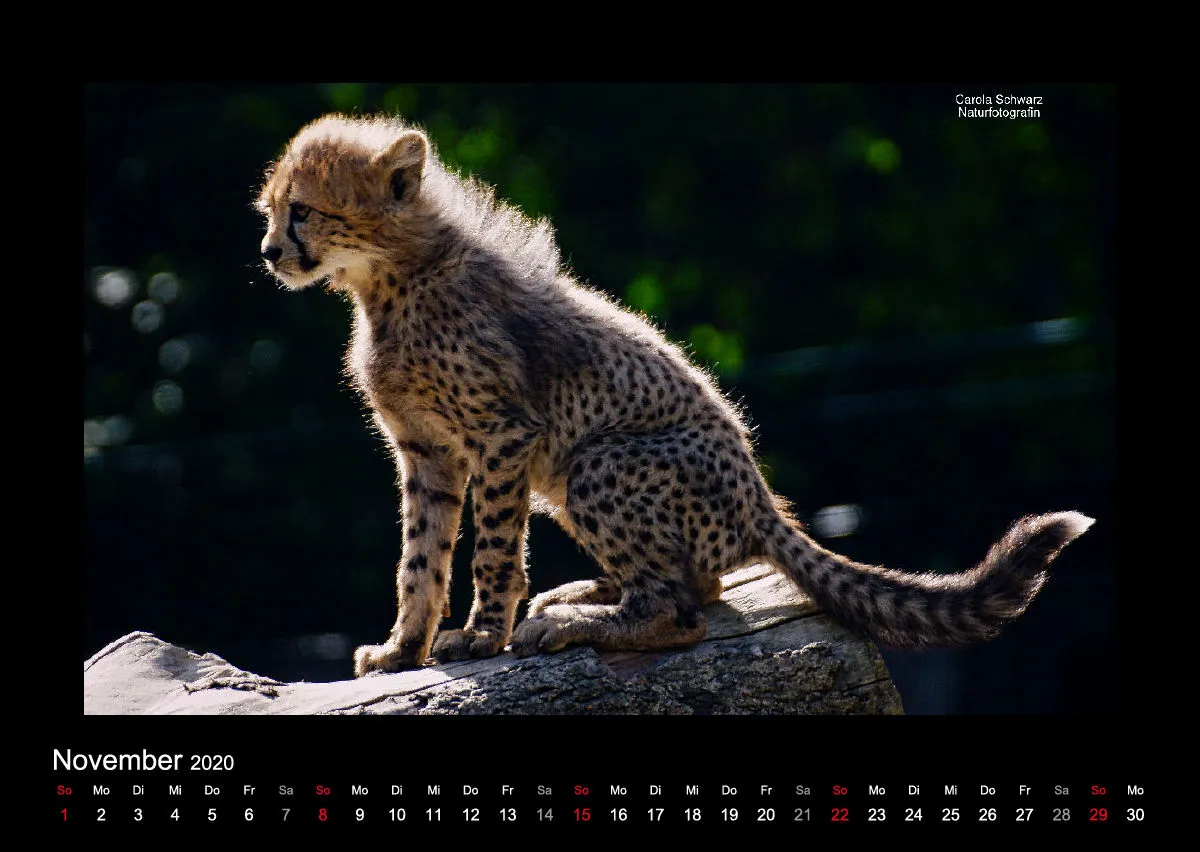 A2 Fotokalender / Nr. 1