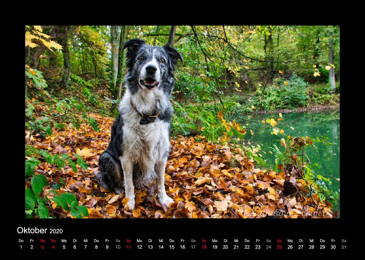 A4 Fotokalender / Nr. 1
