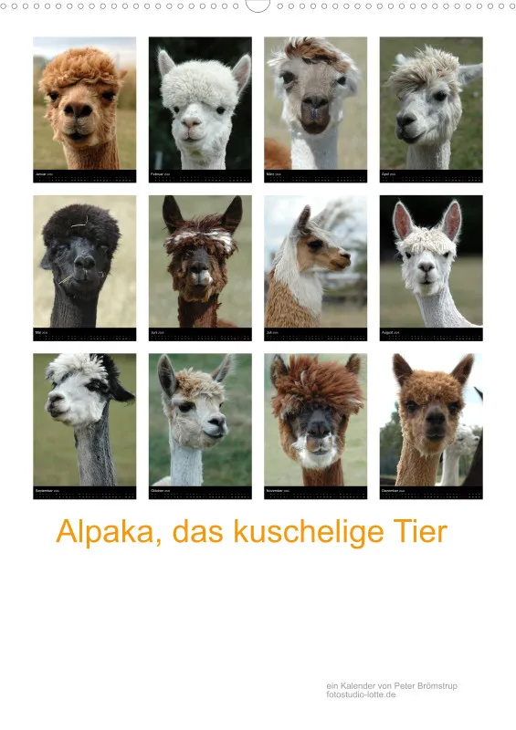 Alpaka, das kuschelige Tier A2 (DE)