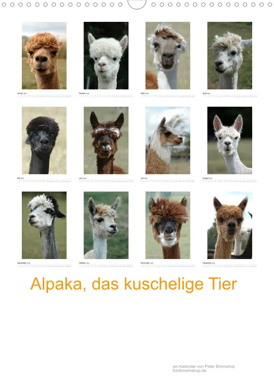 Alpaka, das kuschelige Tier A4 (DE)