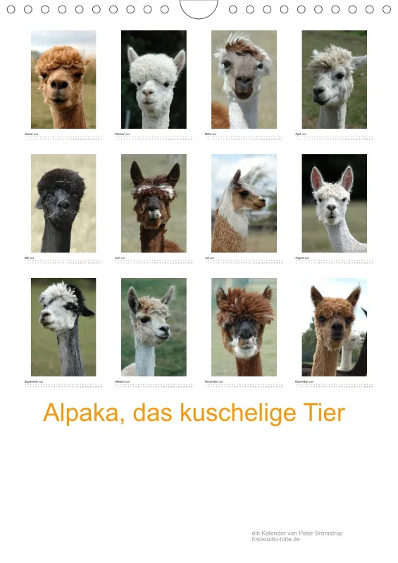 Alpaka, das kuschelige Tier A4 (DE)