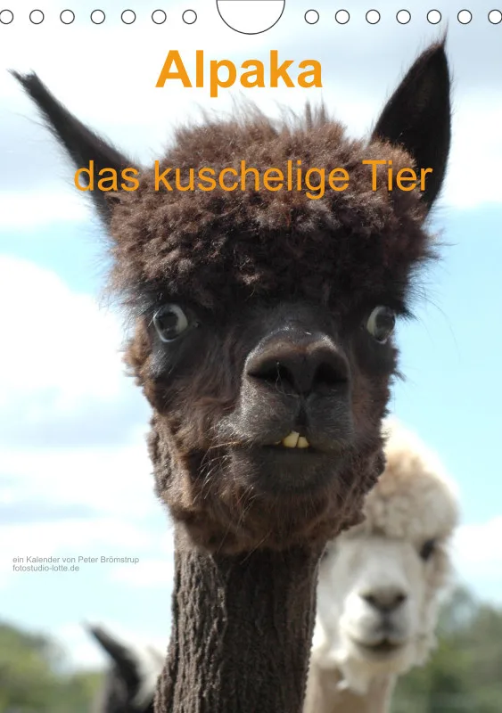 Alpaka, das kuschelige Tier A5 (DE)