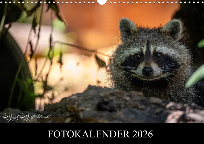 Tierkalender 2026 by Fotografie Mittelstädt