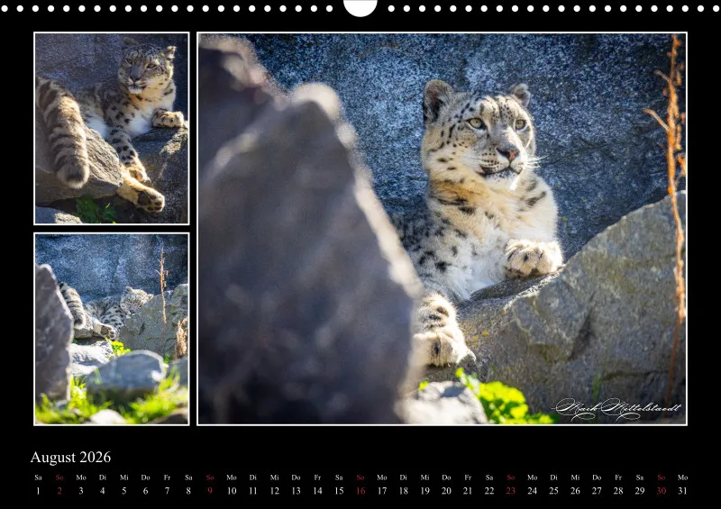 Tierkalender 2026 by Fotografie Mittelstädt