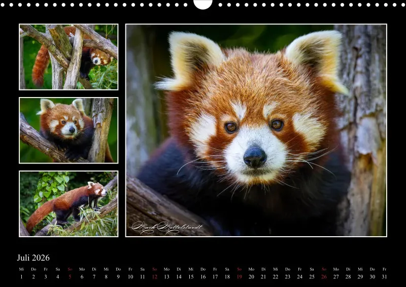 Tierkalender 2026 by Fotografie Mittelstädt