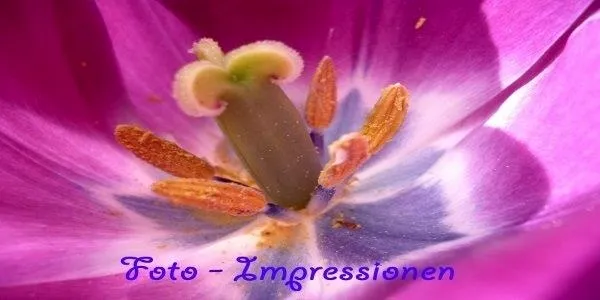 Foto-Impressionen