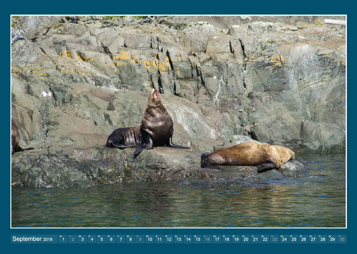 Vancouver Island 2018