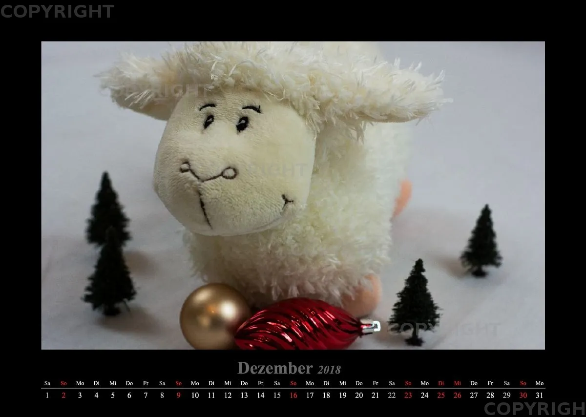 (14) Bildkalender A3 quer - Schafe Momente 2018