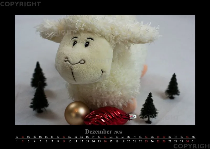 (14) Bildkalender A3 quer - Schafe Momente 2018