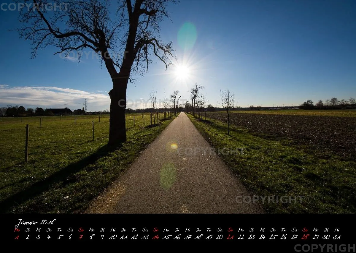 (2) Tischkalender A5 quer - Reilingen 2018