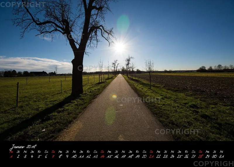 (2) Tischkalender A5 quer - Reilingen 2018