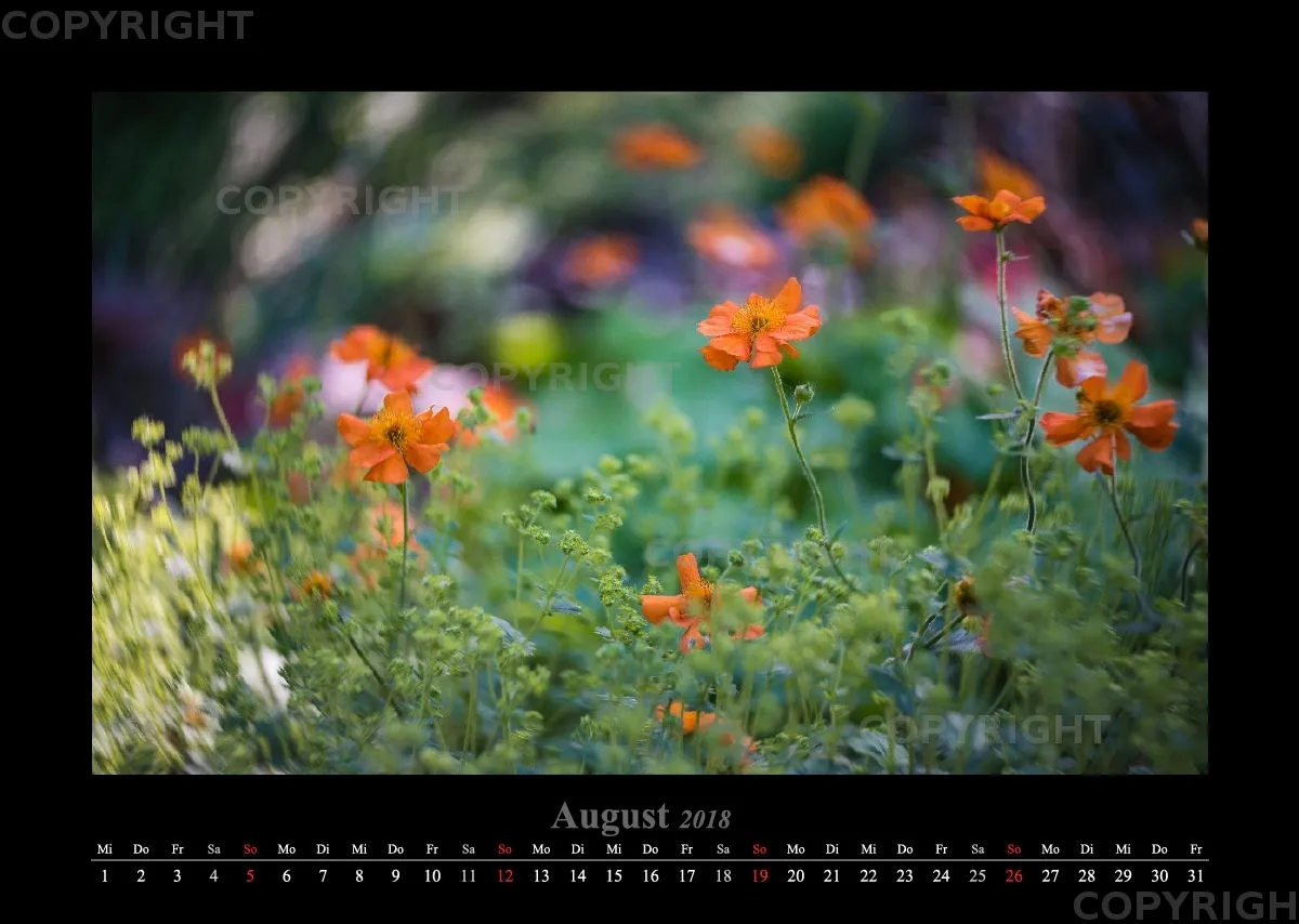(46) Bildkalender A3 quer - Luisenpark Mannheim 2018