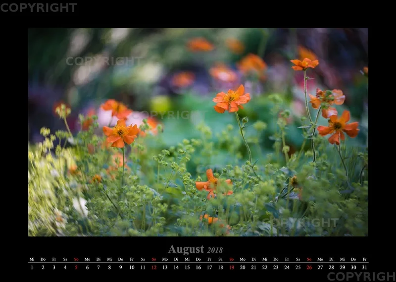 (46) Bildkalender A3 quer - Luisenpark Mannheim 2018