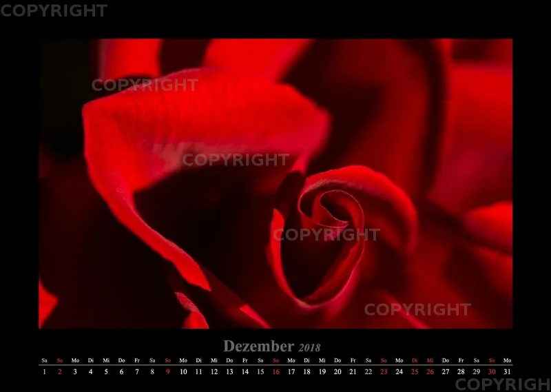 (22) Bildkalender A3 quer - Blumige Zeiten 2018