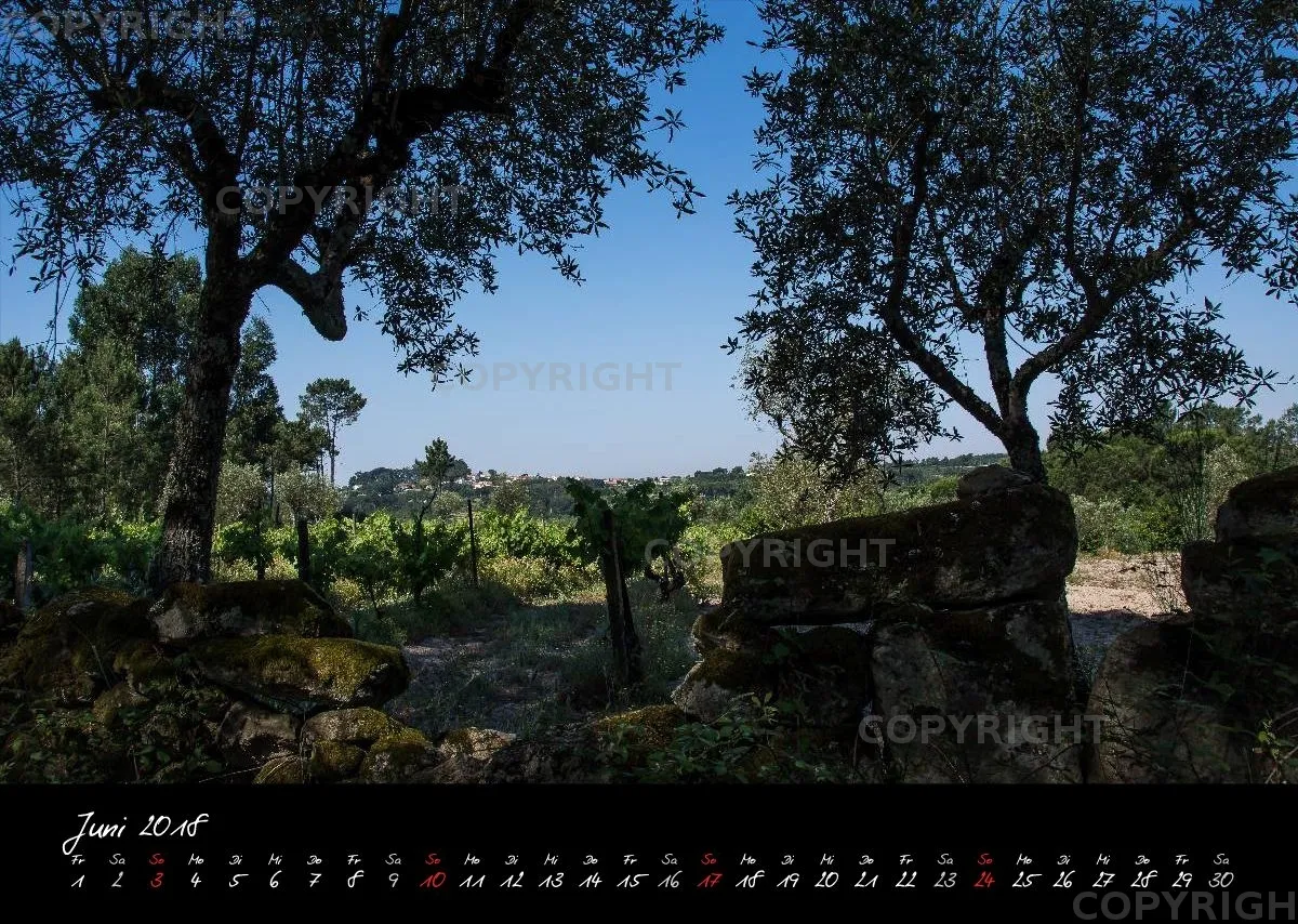 (20) Bildkalender A3 quer - Portugal 2018