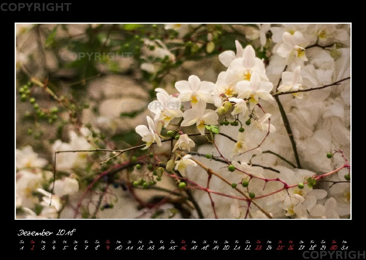 (33) Bildkalender A3 quer - Glücksmomente 2018