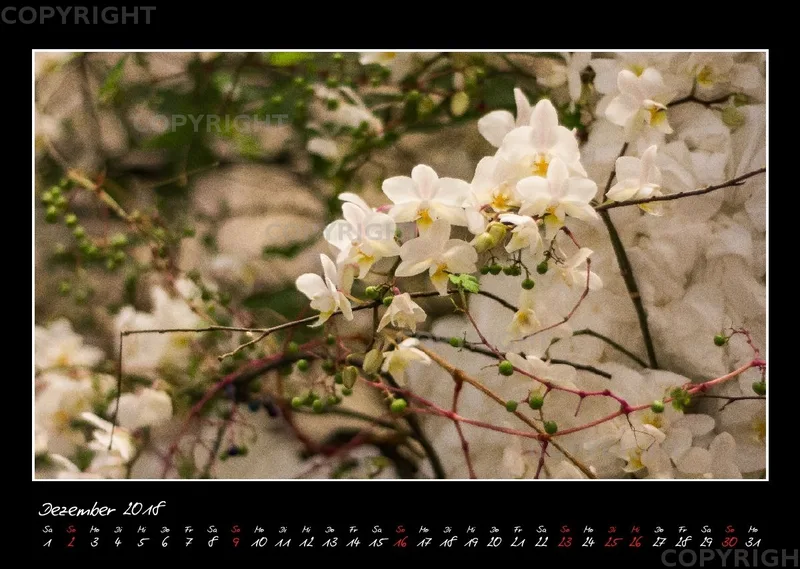 (33) Bildkalender A3 quer - Glücksmomente 2018