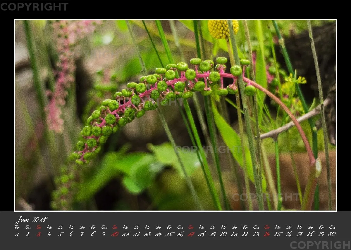 (32) Tischkalender A5 quer - Glücksmomente 2018