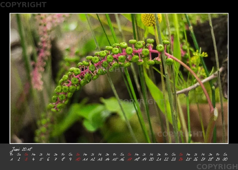 (32) Tischkalender A5 quer - Glücksmomente 2018