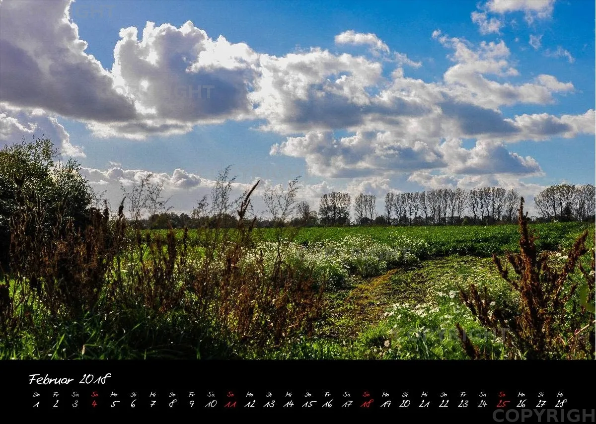 (1) Bildkalender A3 quer - Reilingen 2018