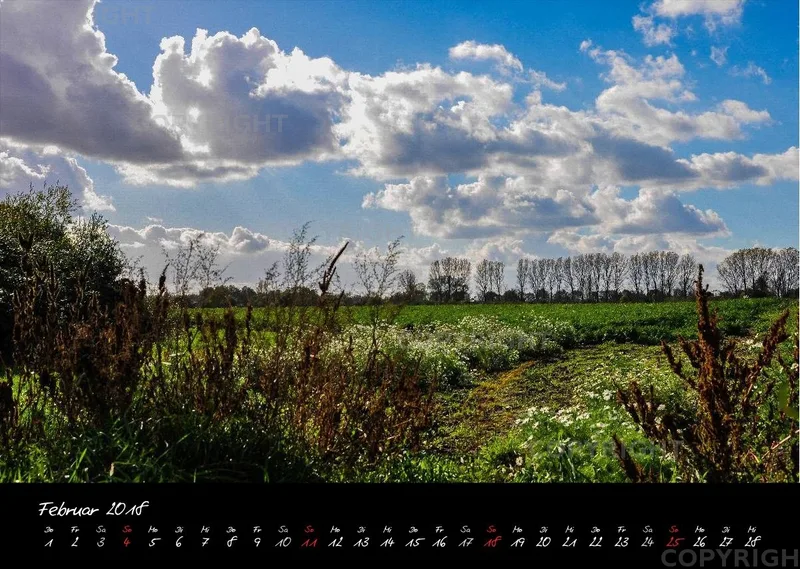 (1) Bildkalender A3 quer - Reilingen 2018