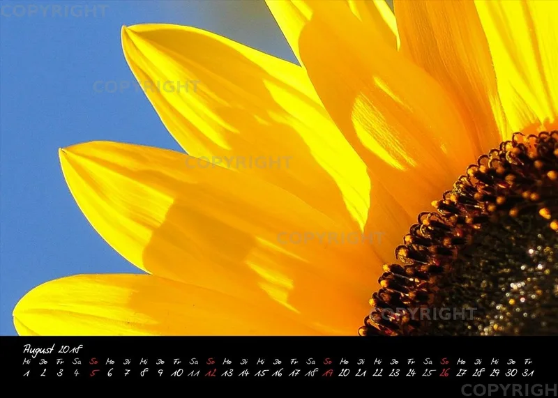 (3) Tischkalender A5 quer - Momente 2018