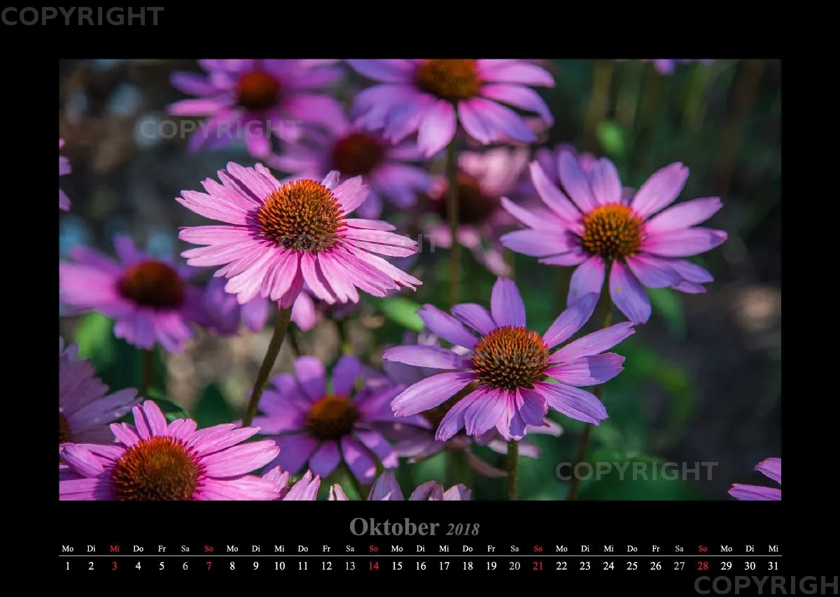 (45) Bildkalender A3 quer - Gartenschau 2018