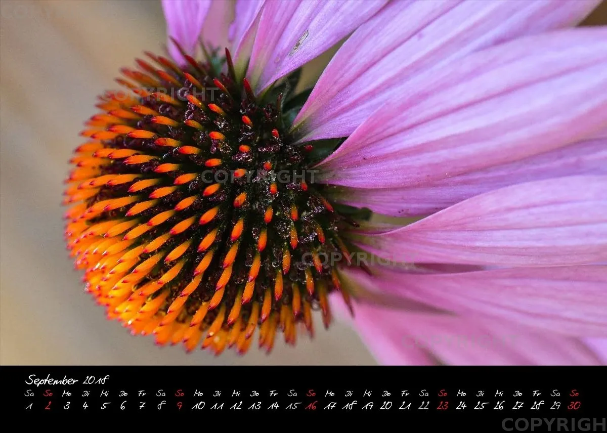 (3) Tischkalender A5 quer - Momente 2018