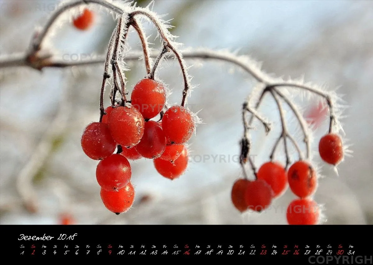 (4) Bildkalender A3 quer - Momente 2018