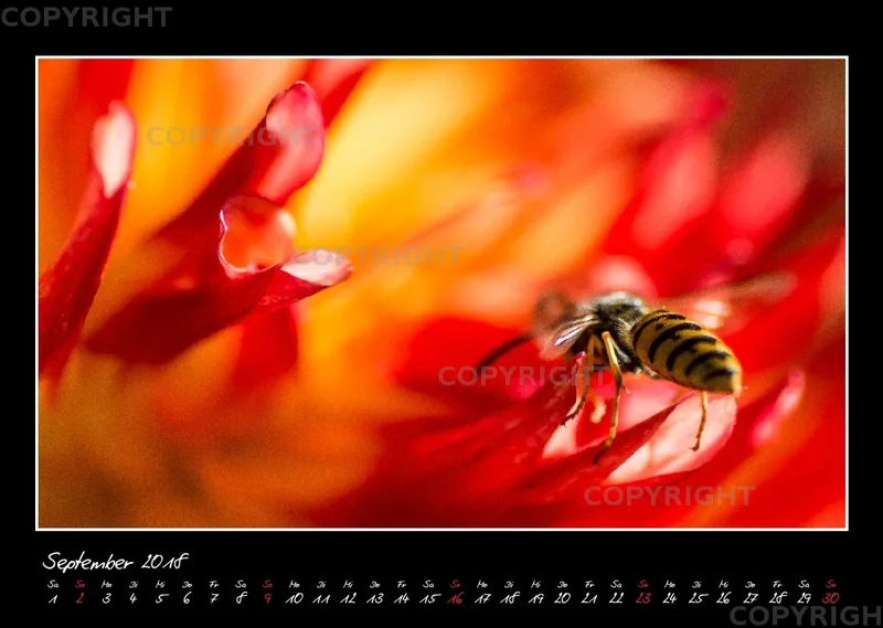 (33) Bildkalender A3 quer - Glücksmomente 2018
