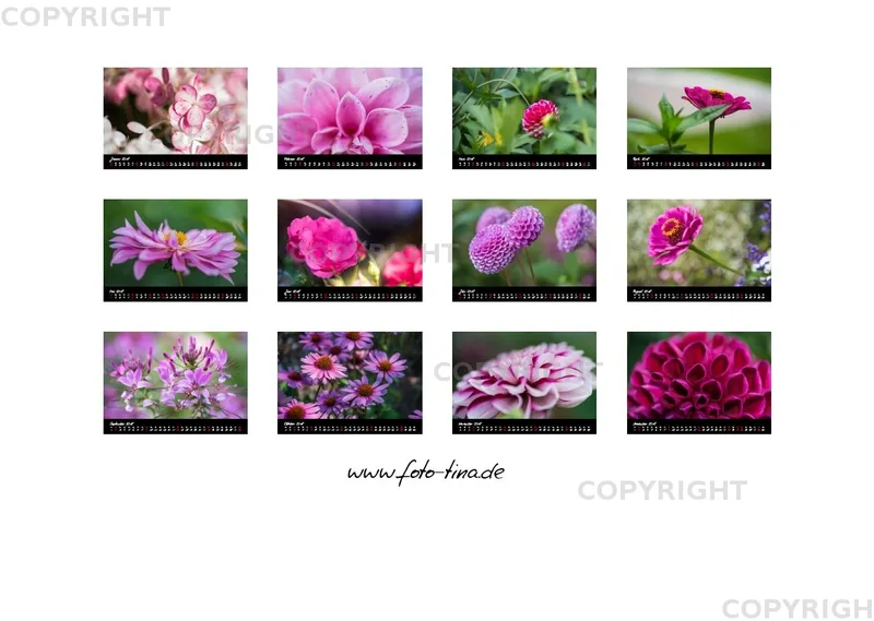(38) Bildkalender A3 quer - Pink Flowers 2018