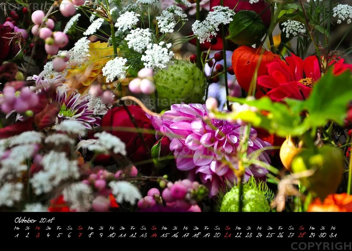 (3) Tischkalender A5 quer - Momente 2018