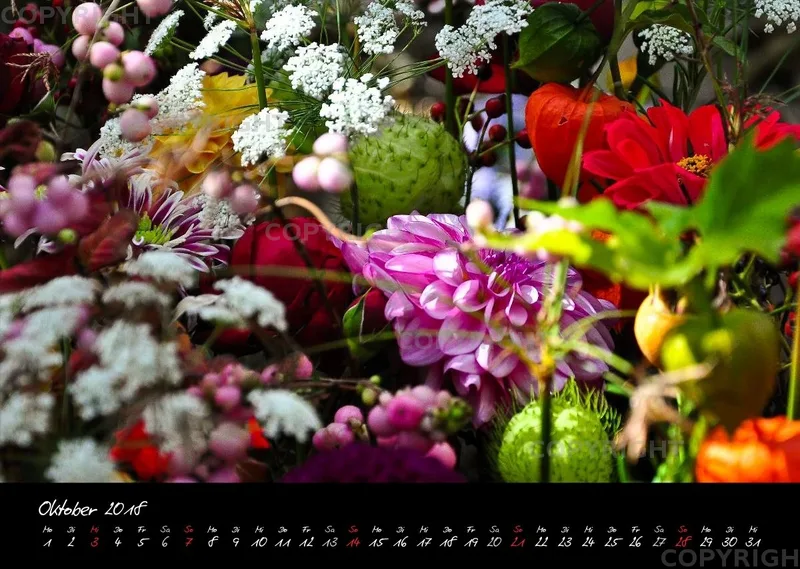 (4) Bildkalender A3 quer - Momente 2018