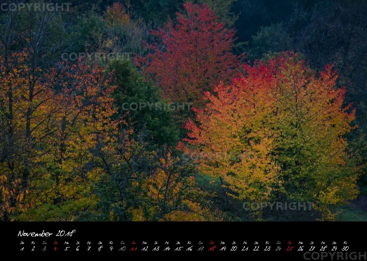 (23) Bildkalender A3 quer - Blumige Zeiten (II) 2018