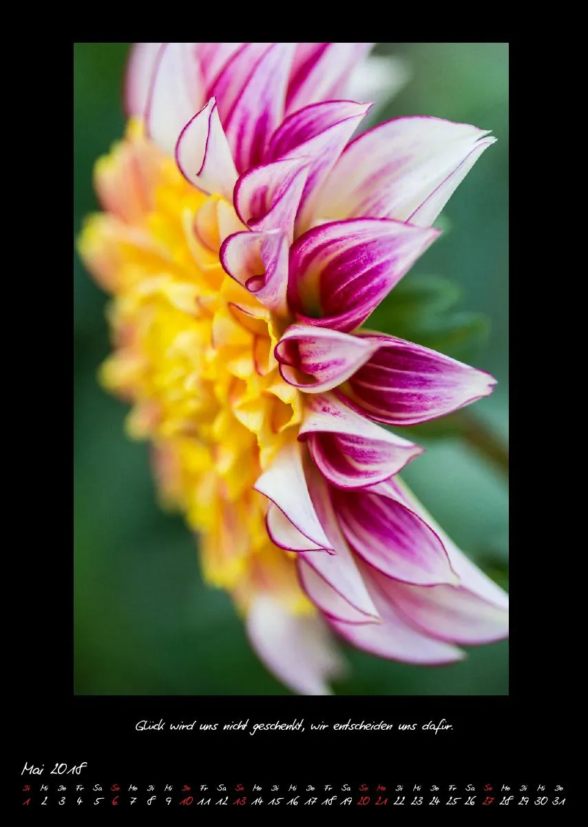 (27) Bildkalender A3 hoch - Natur im Detail 2018