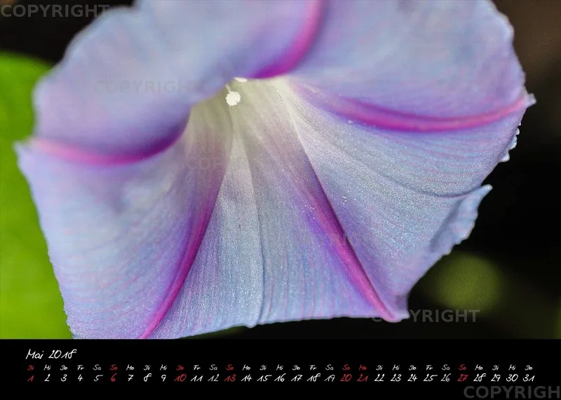 (7) Bildkalender A4 quer - Momente 2018
