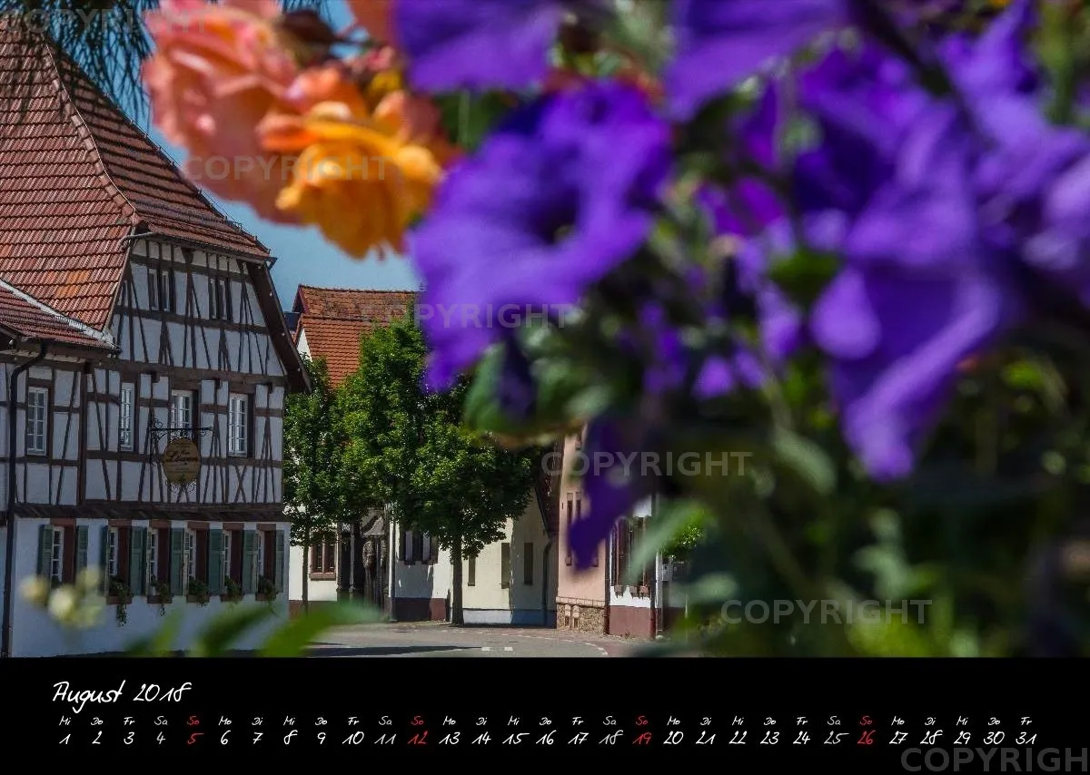 (1) Bildkalender A3 quer - Reilingen 2018