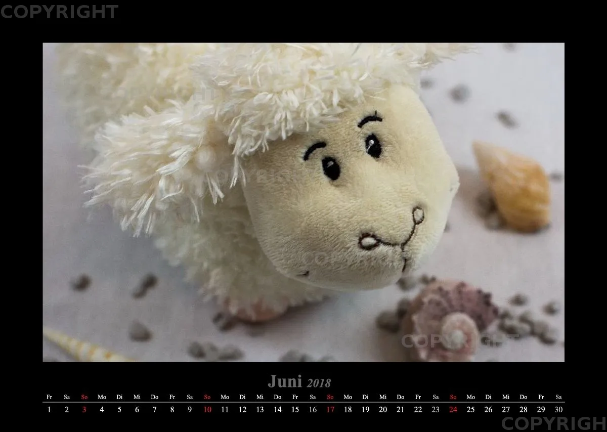 (14) Bildkalender A3 quer - Schafe Momente 2018