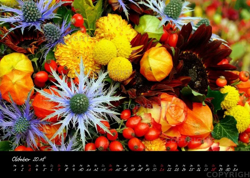 (23) Bildkalender A3 quer - Blumige Zeiten (II) 2018