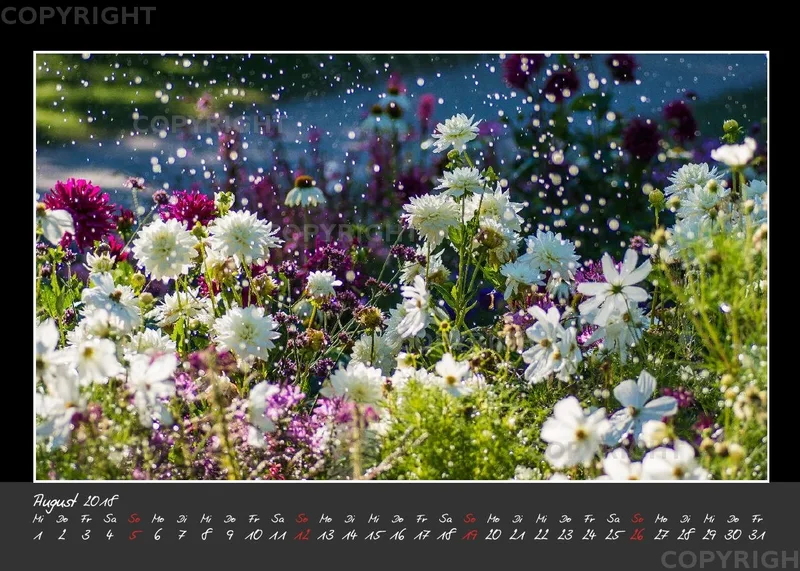 (32) Tischkalender A5 quer - Glücksmomente 2018