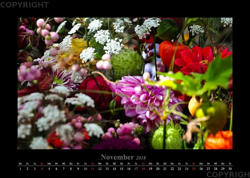 (46) Bildkalender A3 quer - Luisenpark Mannheim 2018