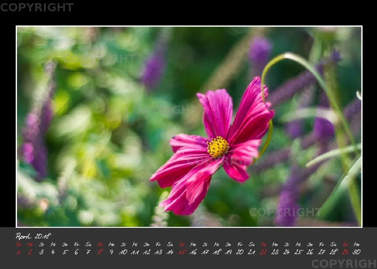 (32) Tischkalender A5 quer - Glücksmomente 2018