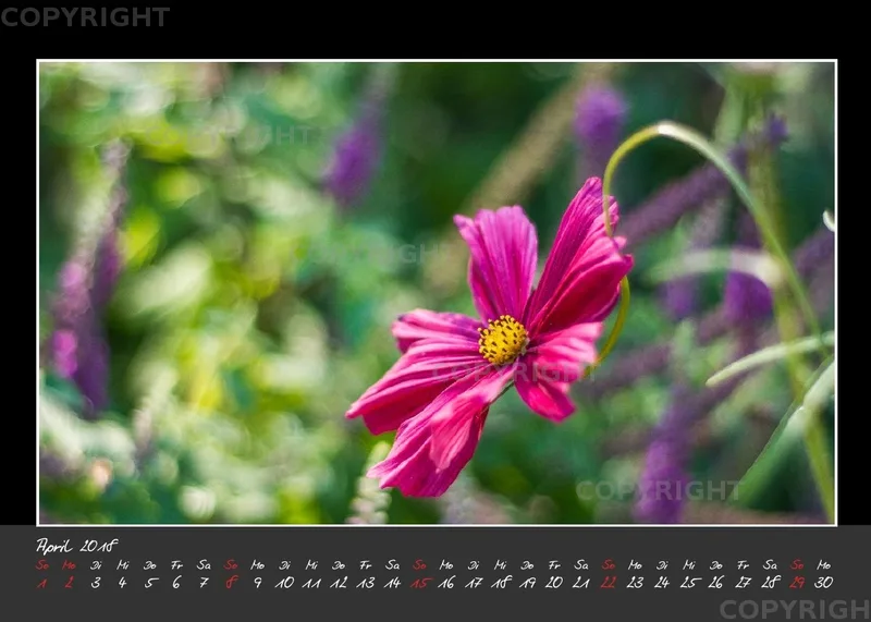 (32) Tischkalender A5 quer - Glücksmomente 2018