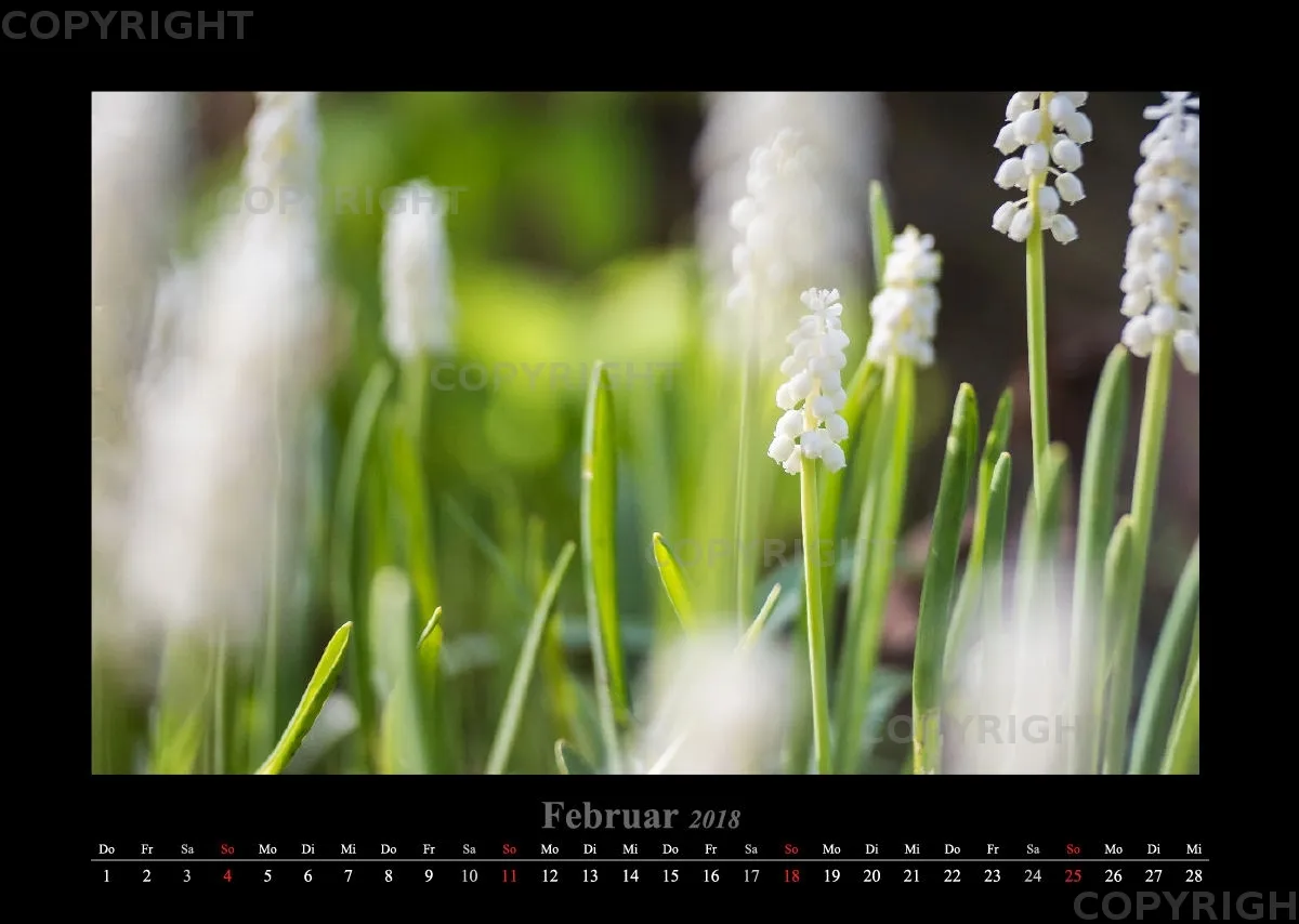 (46) Bildkalender A3 quer - Luisenpark Mannheim 2018