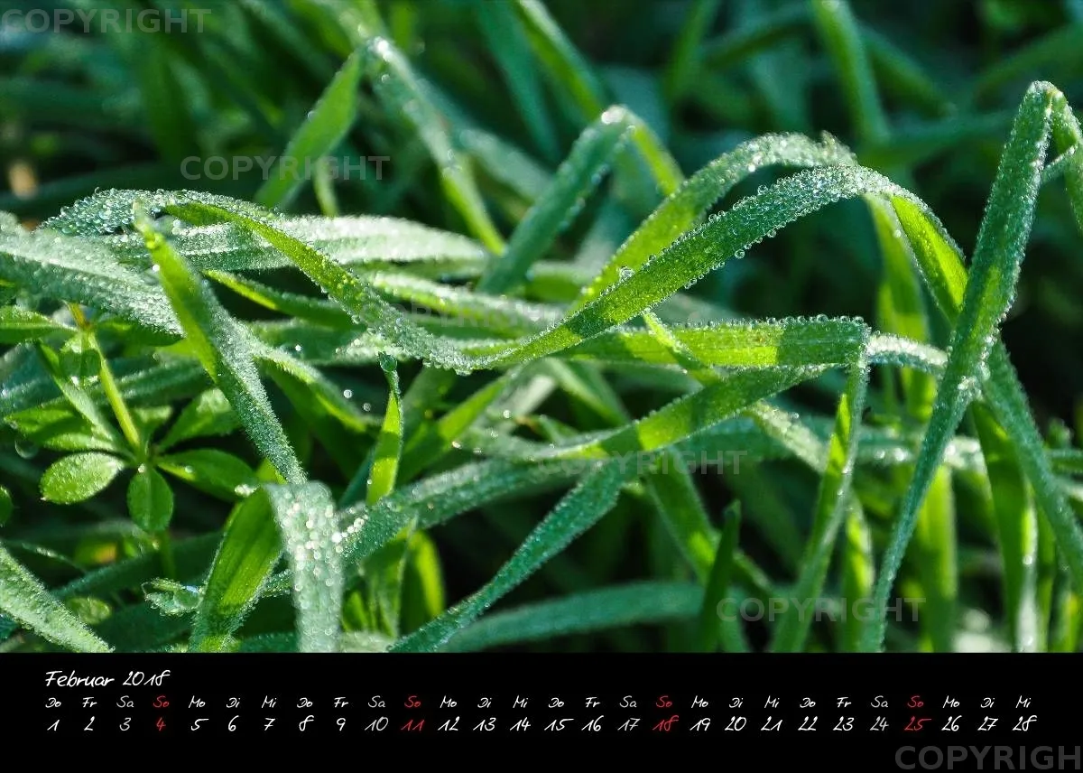 (3) Tischkalender A5 quer - Momente 2018