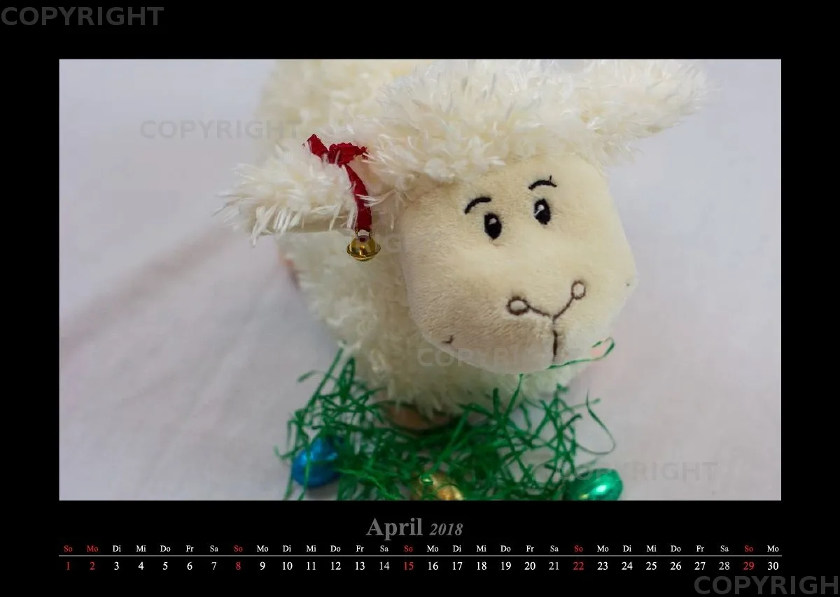 (14) Bildkalender A3 quer - Schafe Momente 2018