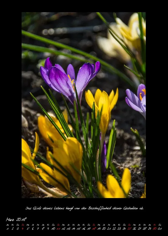 (27) Bildkalender A3 hoch - Natur im Detail 2018